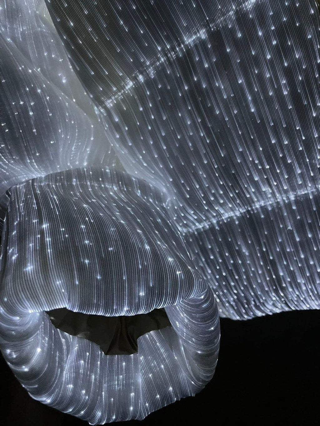 Luminous Down Jacket